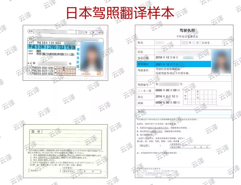 日本驾照中文书籍 日本驾照中文书籍