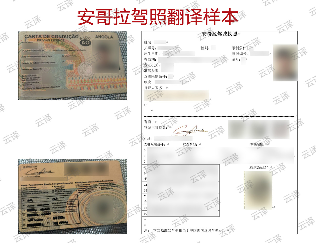 安哥拉驾照翻译样本.jpg