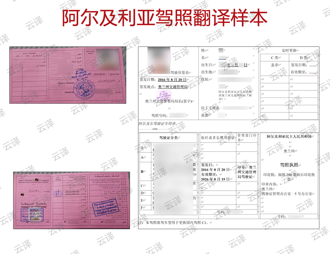 阿尔及利亚驾照翻译样本.jpg
