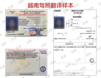 越南驾照翻译样本.jpg
