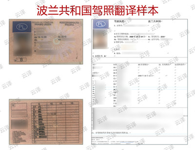 波兰驾照翻译样本.jpg
