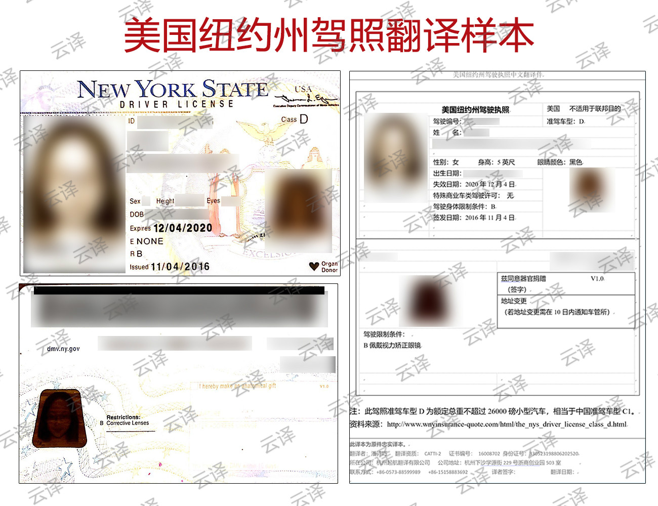 美国纽约州驾照翻译样本.jpg