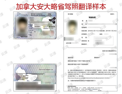 加拿大安大略省驾照翻译样本.jpg