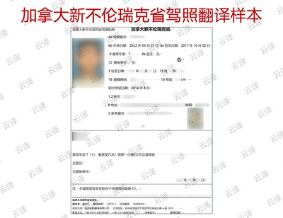 加拿大新不伦瑞克省驾照翻译样本.jpg